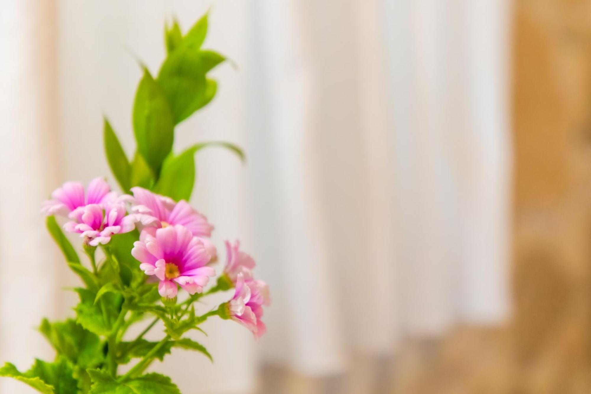 Asmani Apartment Kato Asites ภายนอก รูปภาพ